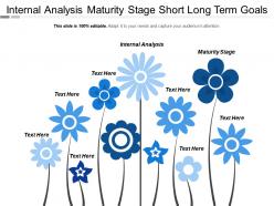 Internal analysis maturity stage short long term goals cpb