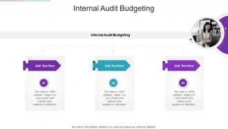 Internal Audit Budgeting In Powerpoint And Google Slides Cpb