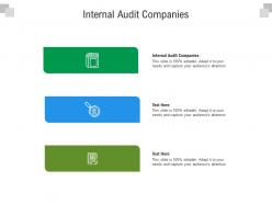 Internal audit companies ppt powerpoint presentation ideas format cpb