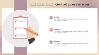 Internal Audit Control Process Icon