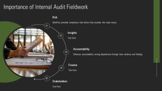 Internal Audit Fieldwork Execution And Documentation PPT Summary AT Template Pre-designed