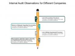 Internal audit observations for different companies