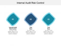 Internal audit risk control ppt powerpoint presentation styles slide download cpb