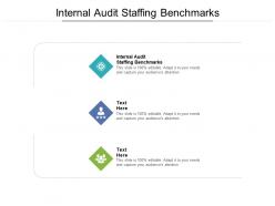 Internal audit staffing benchmarks ppt powerpoint presentation outline inspiration cpb