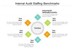 Internal audit staffing benchmarks ppt powerpoint presentation styles topics cpb