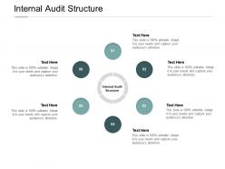 Internal audit structure ppt powerpoint presentation infographics guide cpb