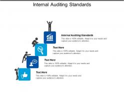 Internal auditing standards ppt powerpoint presentation gallery shapes cpb