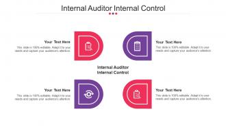 Internal Auditor Internal Control Ppt Powerpoint Presentation Summary File Formats Cpb