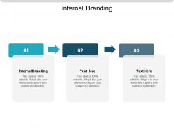 Internal branding ppt powerpoint presentation styles icon cpb