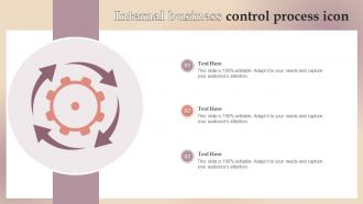 Internal Business Control Process Icon