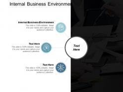 Internal business environment ppt powerpoint presentation model inspiration cpb