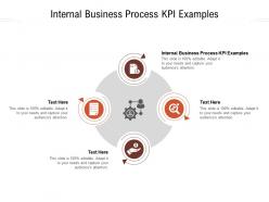 Internal business process kpi examples ppt powerpoint presentation ideas display cpb