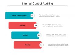 Internal control auditing ppt powerpoint presentation outline graphics template cpb