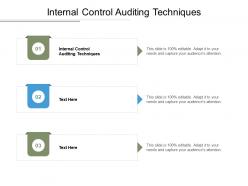 Internal control auditing techniques ppt powerpoint presentation slides demonstration cpb
