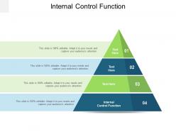 Internal control function ppt powerpoint presentation model cpb
