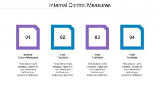 Internal Control Measures Ppt Powerpoint Presentation Gallery Microsoft Cpb