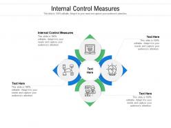 Internal control measures ppt powerpoint presentation pictures designs download cpb