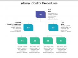 Internal control procedures ppt powerpoint presentation file skills cpb
