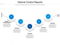 Internal control reports ppt powerpoint presentation gallery influencers cpb