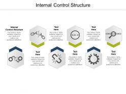 Internal control structure ppt powerpoint presentation file background image cpb