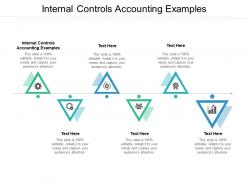Internal controls accounting examples ppt powerpoint presentation structure cpb