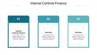 Internal controls finance ppt powerpoint presentation layouts maker cpb
