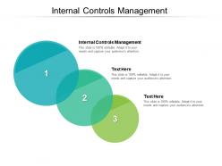 Internal controls management ppt powerpoint presentation summary example cpb
