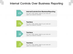 Internal controls over business reporting ppt powerpoint presentation portfolio professional cpb
