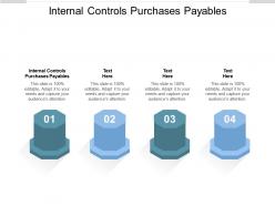 Internal controls purchases payables ppt powerpoint presentation visual aids infographic cpb