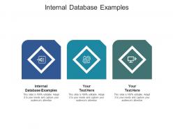 Internal database examples ppt powerpoint presentation inspiration grid cpb