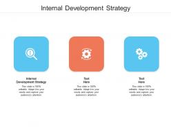 Internal development strategy ppt powerpoint presentation professional brochure cpb