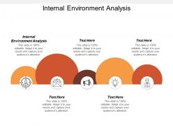 Internal environment analysis ppt powerpoint presentation gallery examples cpb