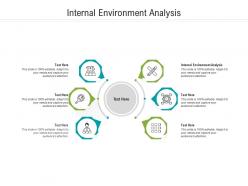 Internal environment analysis ppt powerpoint presentation inspiration samples cpb
