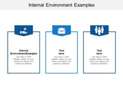 Internal environment examples ppt powerpoint presentation layouts styles cpb