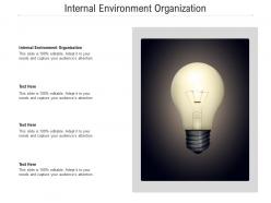 Internal environment organization ppt powerpoint presentation diagram lists cpb