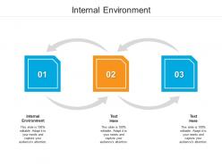 Internal environment ppt powerpoint presentation show ideas cpb