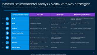 Internal Environmental Analysis Matrix With Key Strategies