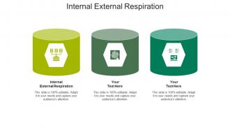 Internal external respiration ppt powerpoint presentation ideas examples cpb