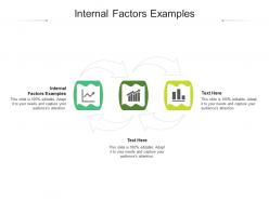 Internal factors examples ppt powerpoint presentation show outfit cpb