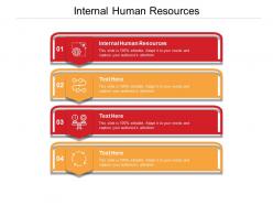 Internal human resources ppt powerpoint presentation icon cpb
