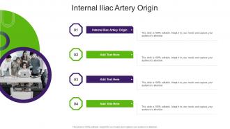 Internal Iliac Artery Origin In Powerpoint And Google Slides Cpb