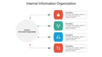 Internal information organization ppt powerpoint presentation layouts sample cpb