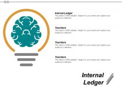 Internal ledger ppt powerpoint presentation icon professional cpb