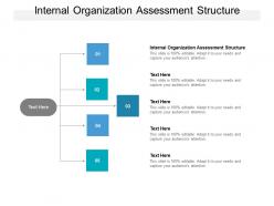 Internal organization assessment structure powerpoint presentation model background cpb