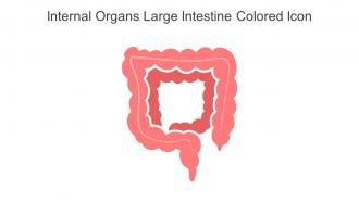 Internal Organs Large Intestine Colored Icon In Powerpoint Pptx Png And Editable Eps Format
