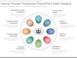 Internal process perspective powerpoint slide designs