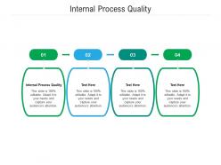 Internal process quality ppt powerpoint presentation summary format ideas cpb