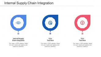 Internal Supply Chain Integration Ppt Powerpoint Presentation Portfolio Cpb