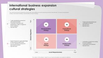 International Business Expansion Cultural Strategies