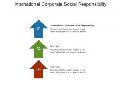 International corporate social responsibility ppt powerpoint presentation layouts vector cpb